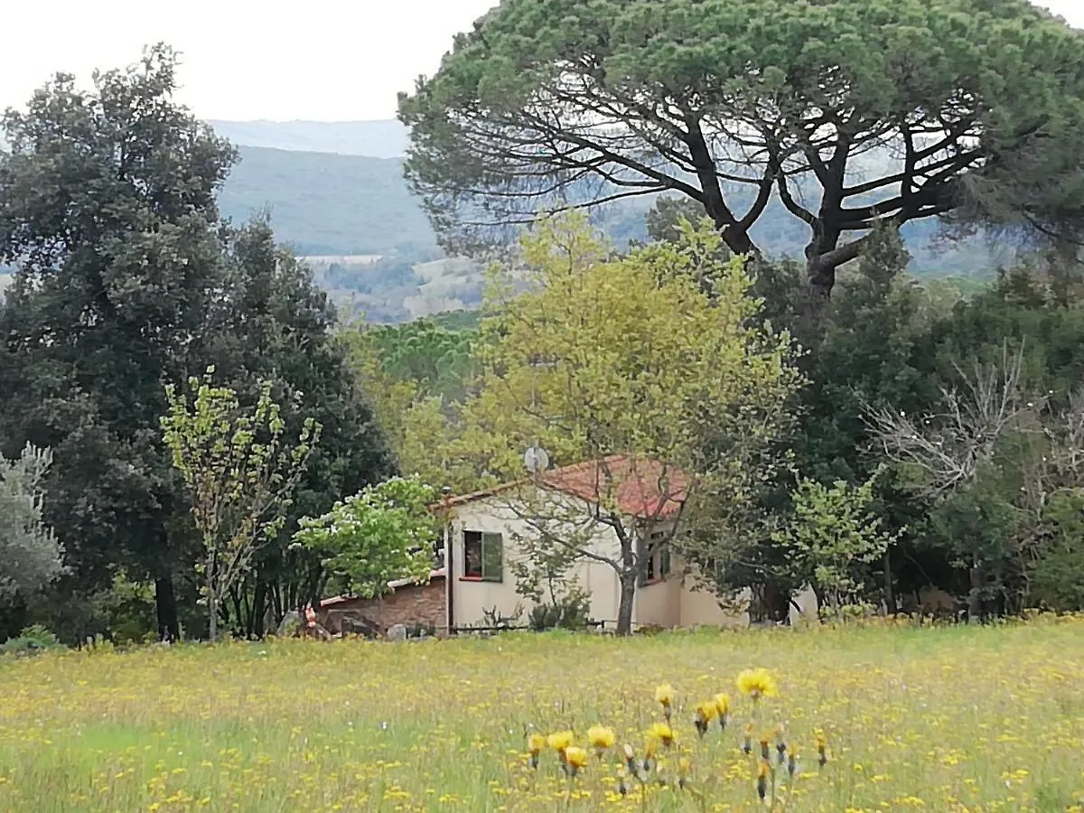 Ferienhaus Villa Casa Jacaranda Monteverdi Marittimo