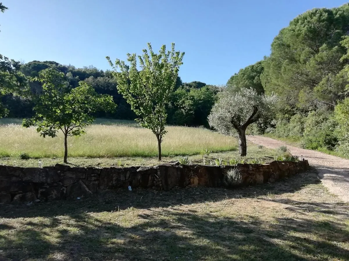 Villa Casa Jacaranda Monteverdi Marittimo Ferienhaus