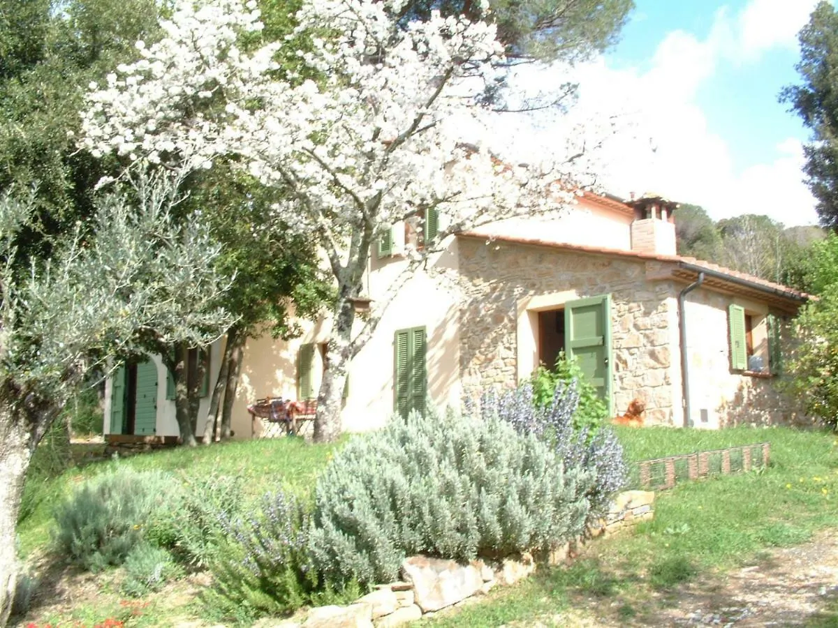 Ferienhaus Villa Casa Jacaranda Monteverdi Marittimo